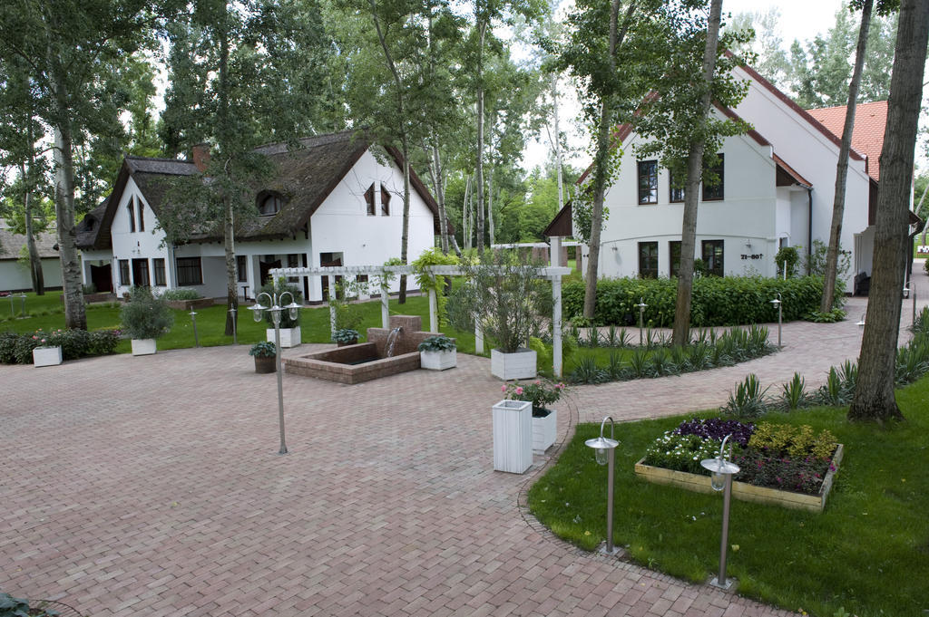 Varga Tanya