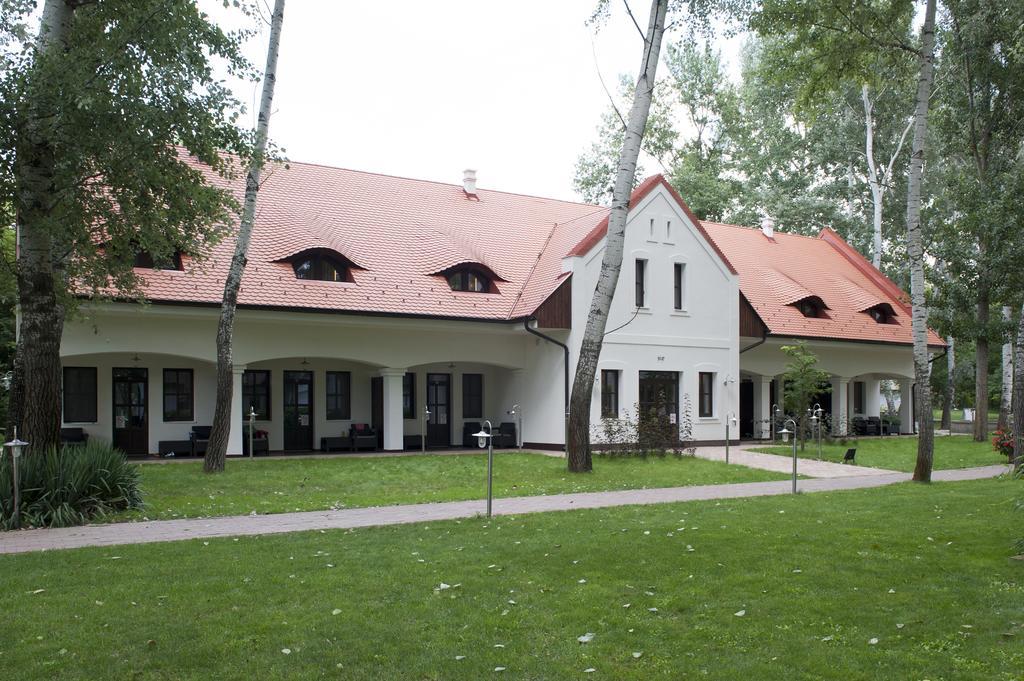 Varga Tanya